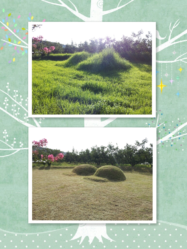 벌초대행-행정리 안종현님 대표 이미지